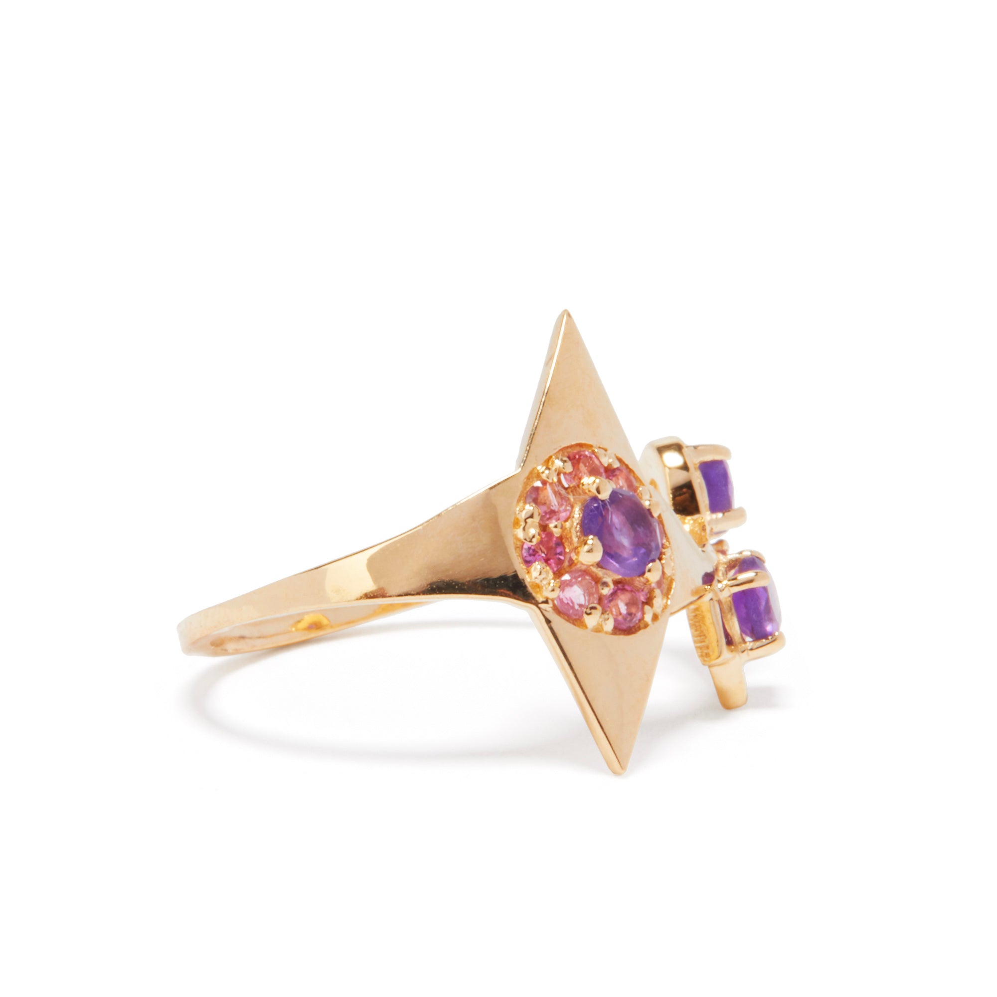 Anillo de semilla estelar